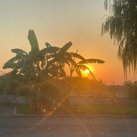 Jayro * ガリポリ