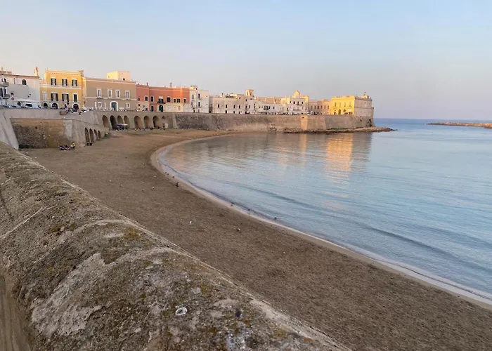 Jayro Smart Centro *