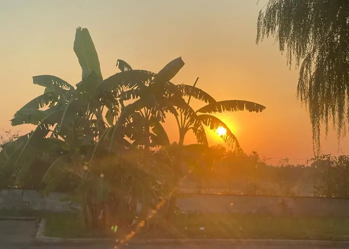 Jayro * גאליפולי